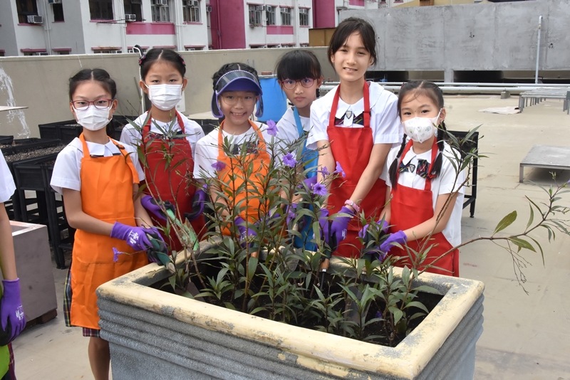 gardenings 2